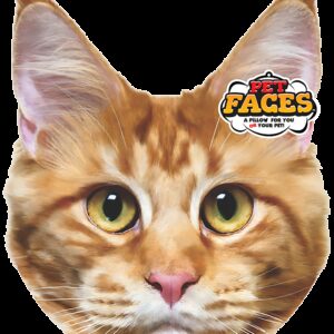 Pet Faces Maine Coon Cat