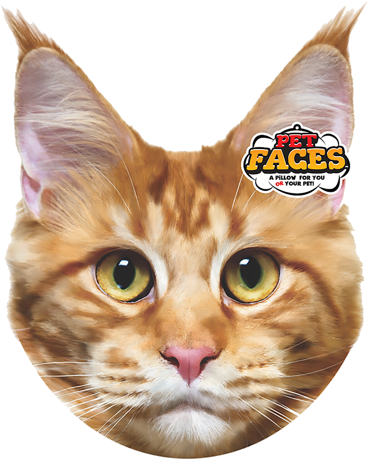 Pet Faces Maine Coon Cat