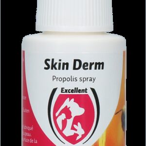 Skin Derm Propolis Spray NL/FR