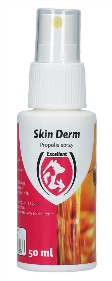 Skin Derm Propolis Spray NL/FR