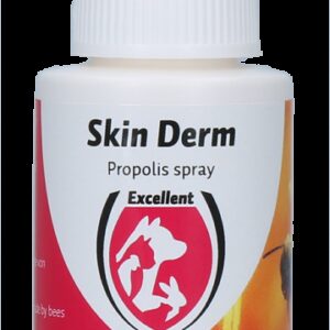 Skin Derm Propolis Spray DE/EN