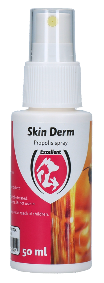 Skin Derm Propolis Spray DE/EN