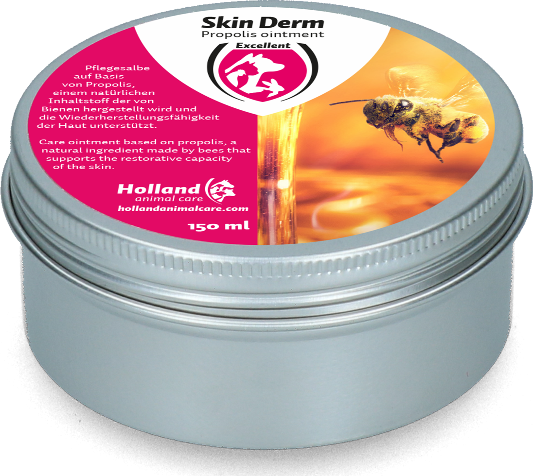 Skin Derm Propolis Zalf DE/EN