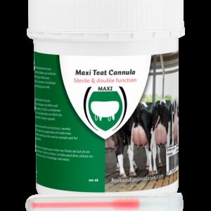 Maxi Teat canula 55 mm plastic luer