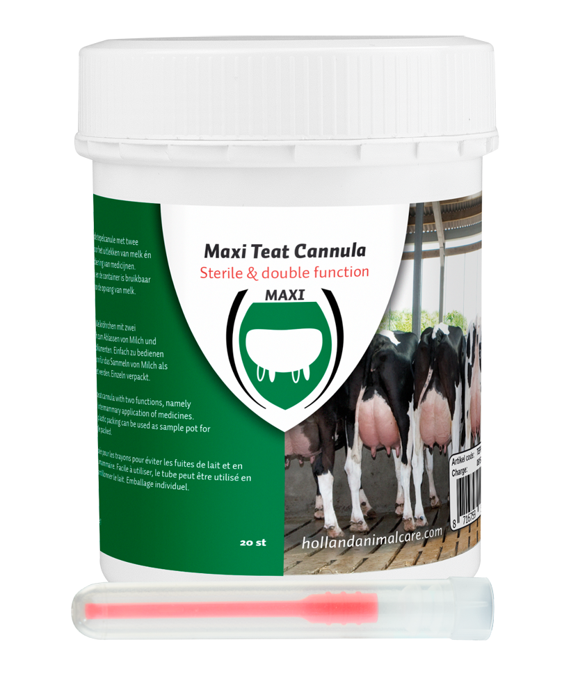 Maxi Teat canula 55 mm plastic luer