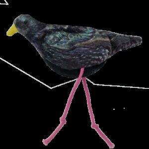 Wild Life Cat Starling (Spreeuw)