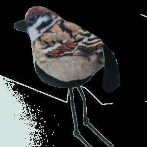 Wild Life Cat Sparrow (Mus)