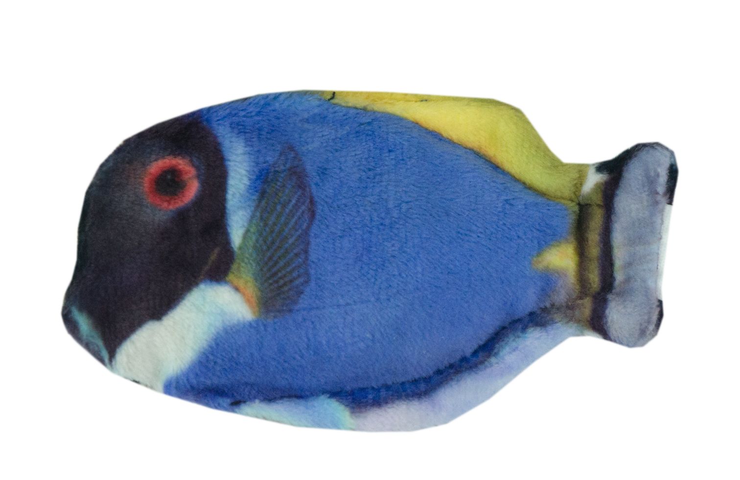 Wild Life Cat Blue Tang (Blauwe Doktersvis)
