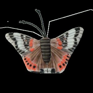 Wild Life Cat Red Admiral Butterfly (Admiraalvlinder)