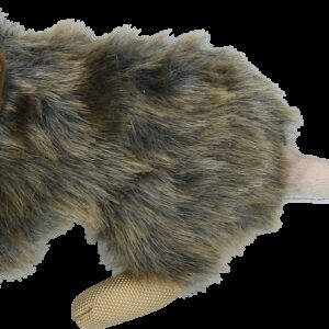 Wild Life Dog Rat