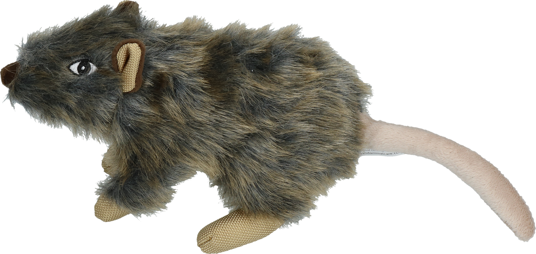 Wild Life Dog Rat