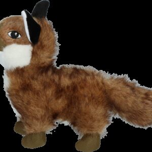 Wild Life Dog Fox