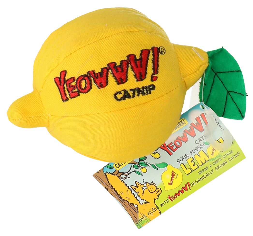 Yeowww Sour Pusss! Lemon