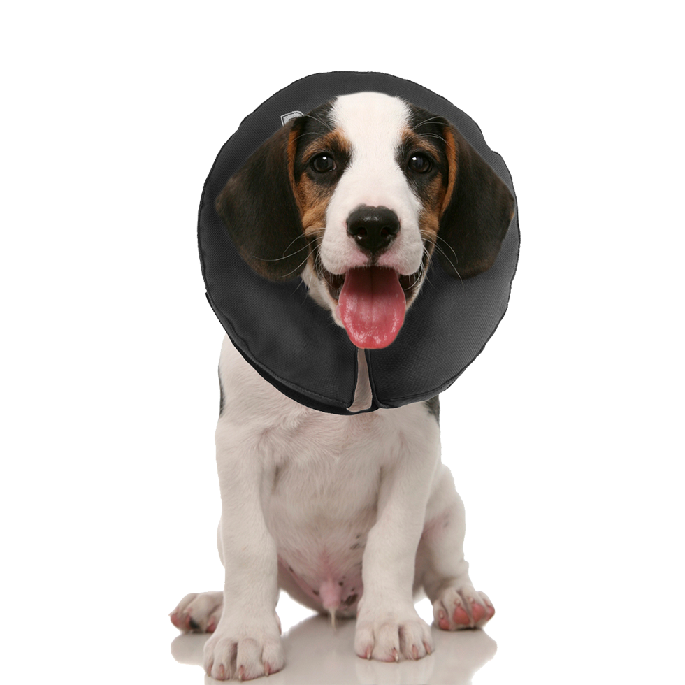 Zenpet ProCollar XS - Afbeelding 2