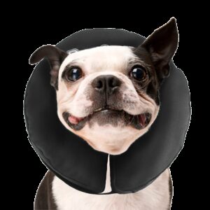 Zenpet ProCollar M
