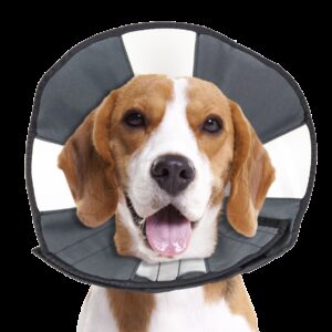 Zenpet Procone M