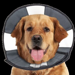 Zenpet Procone XL