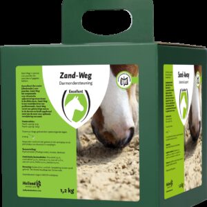 Zand-Weg
