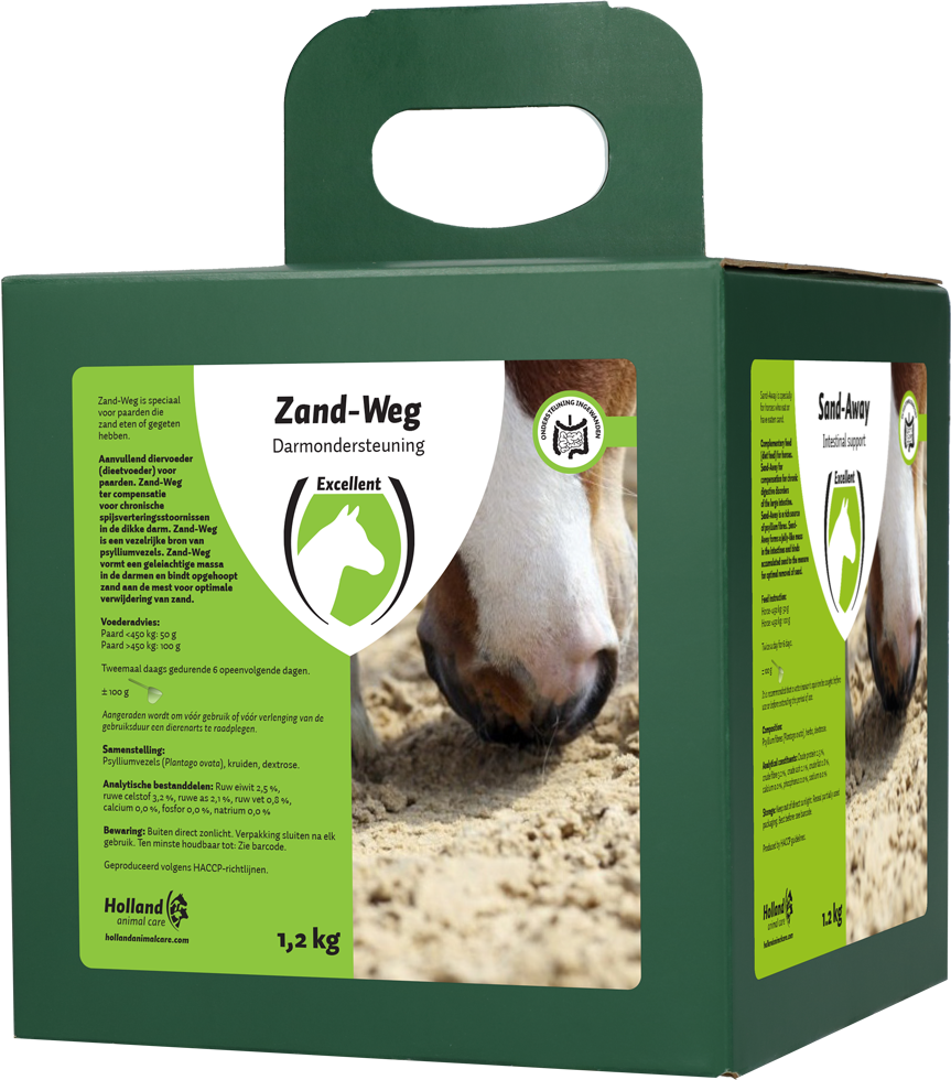 Zand-Weg