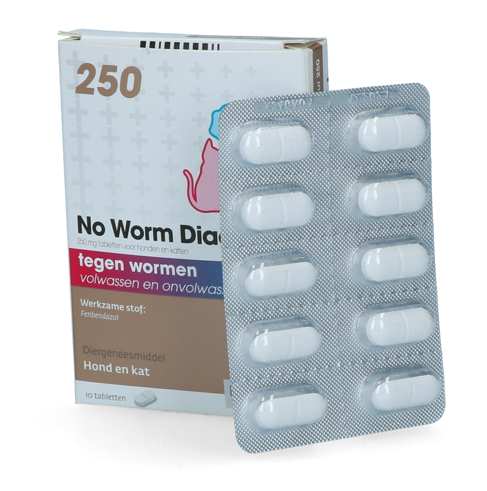 No Worm Diacur 250 Mg 10 Tabl