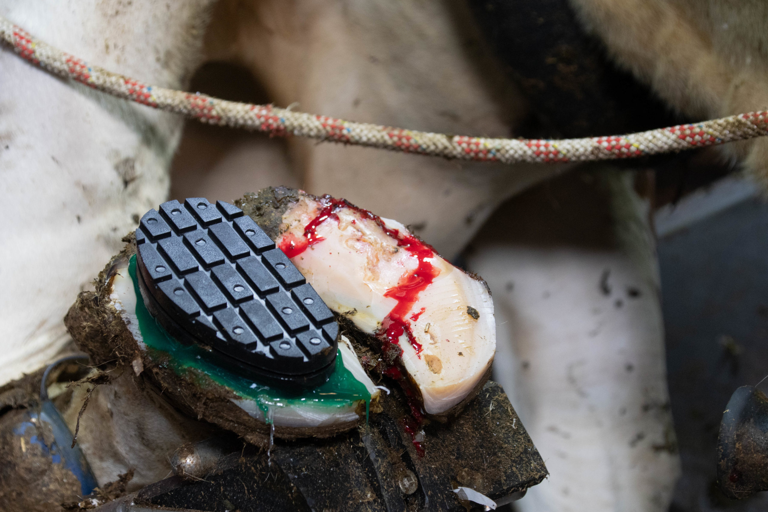 Easy Hoof Block rubber "comfort" - Afbeelding 3