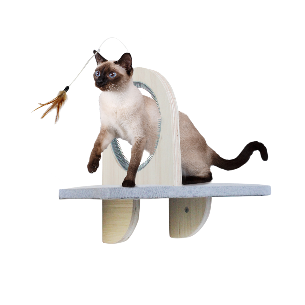 AFP Skywalk - Groom & Play Platform