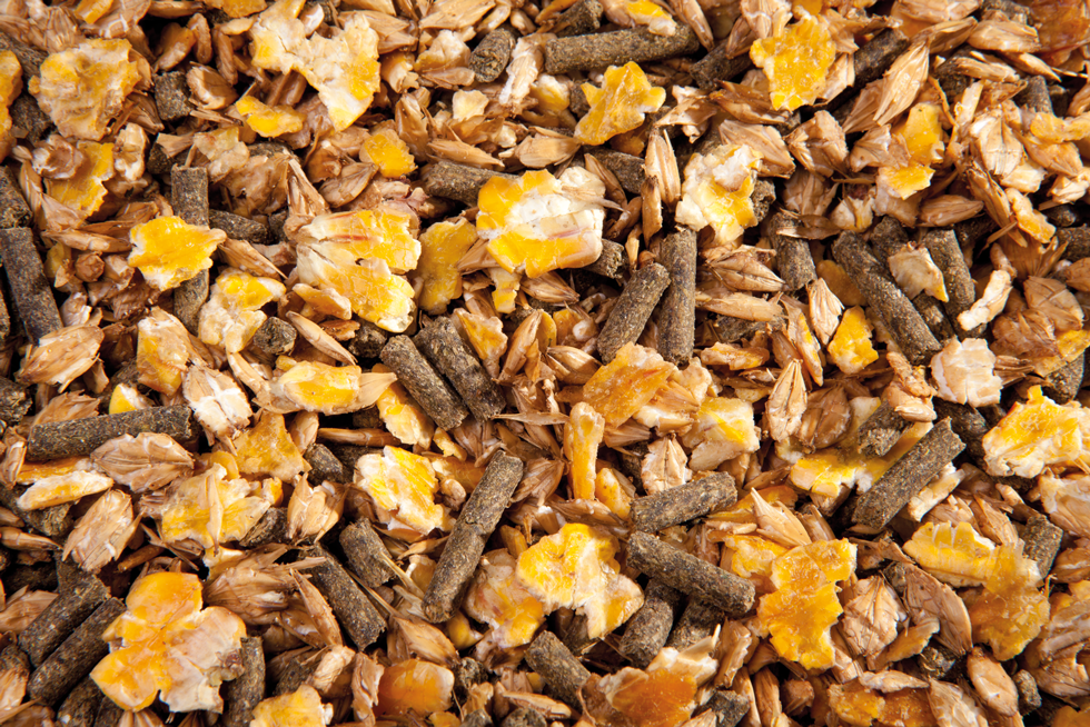 EMH F-Muesli - Afbeelding 2