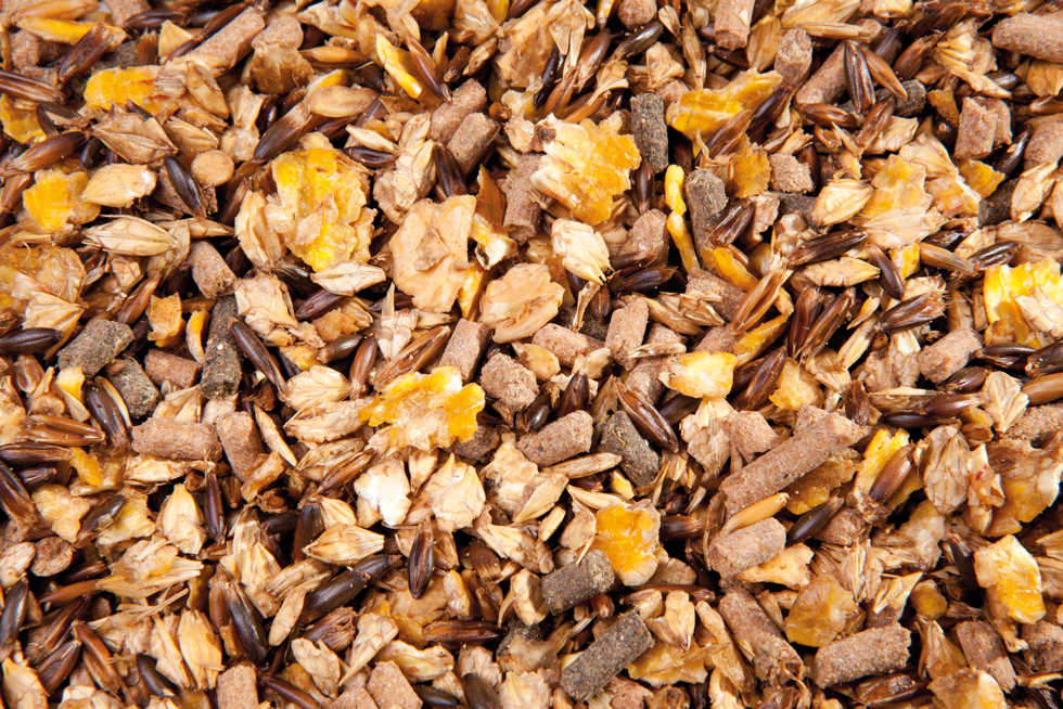 EMH Fok (Zucht) Muesli - Afbeelding 2