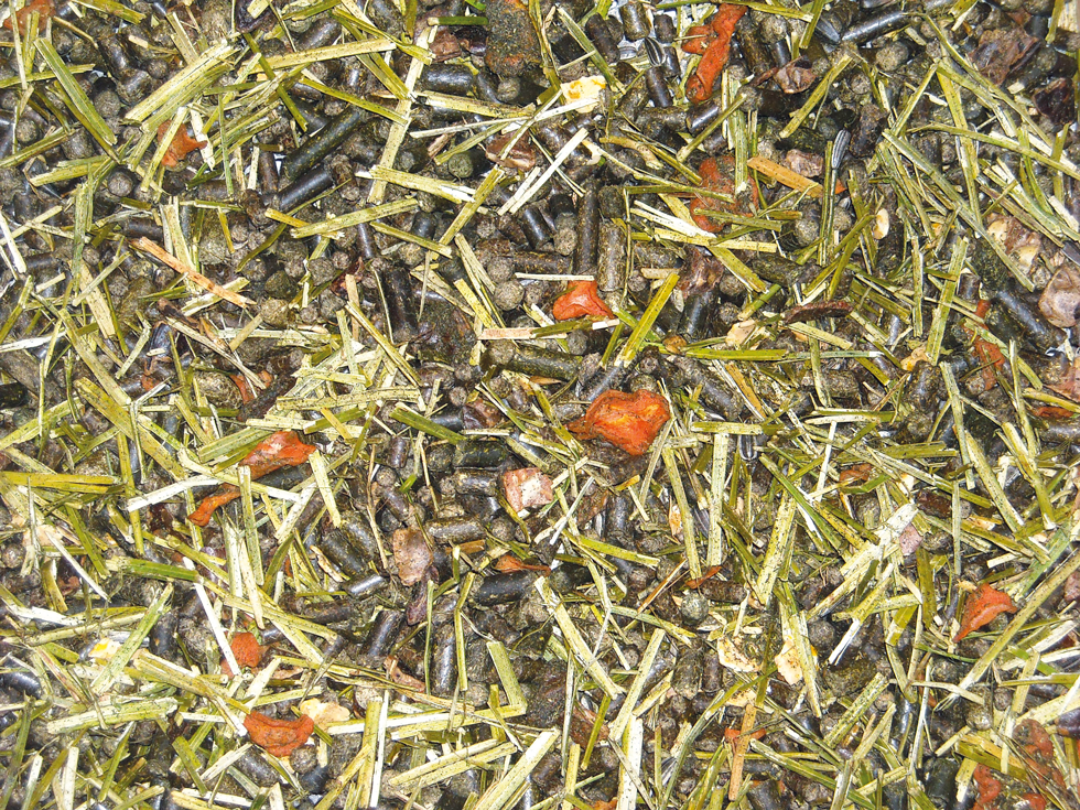 EMH Structuur graanvrij Muesli - Afbeelding 2