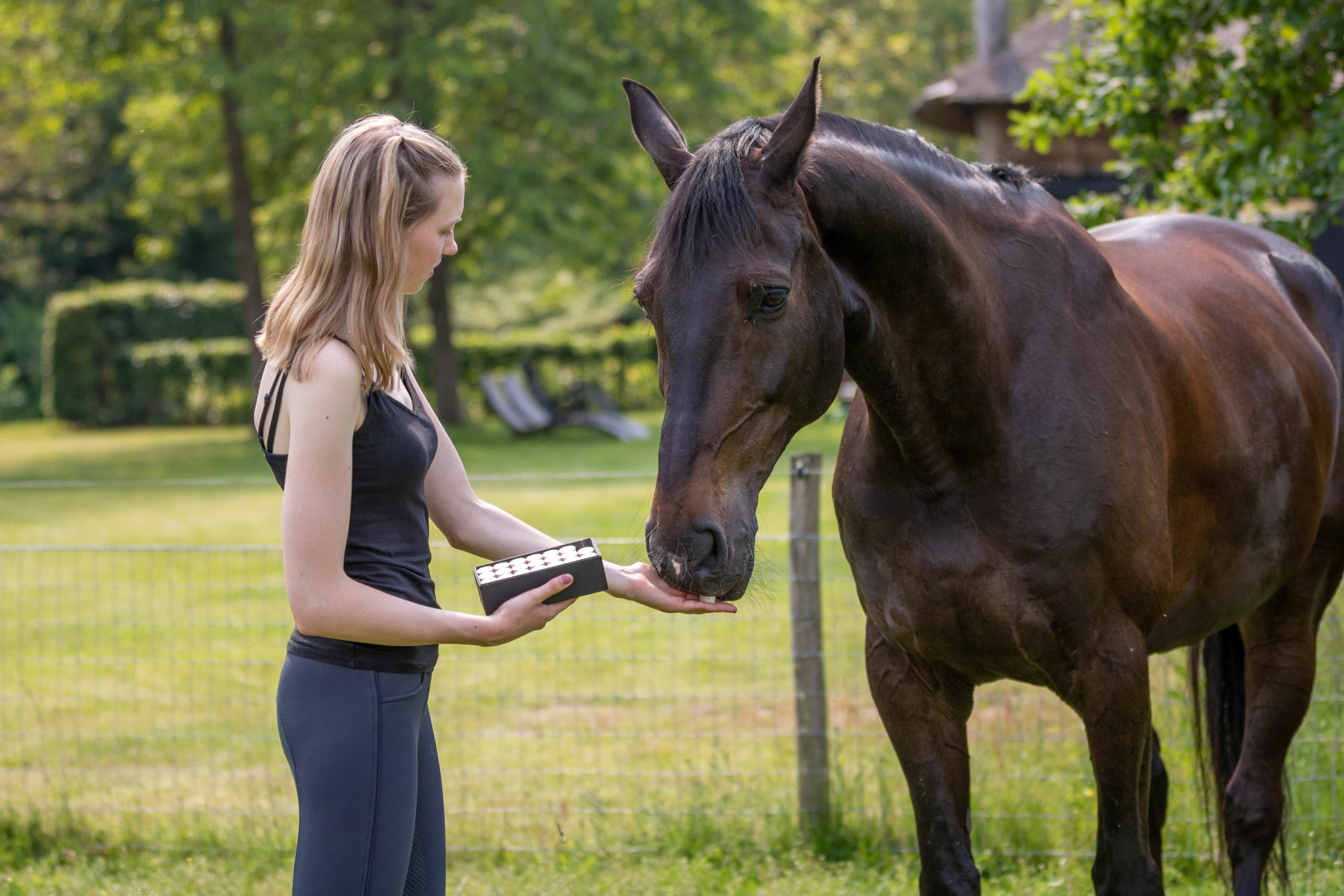 Excellent Horse Healthy Box Luchtwegen - Afbeelding 6
