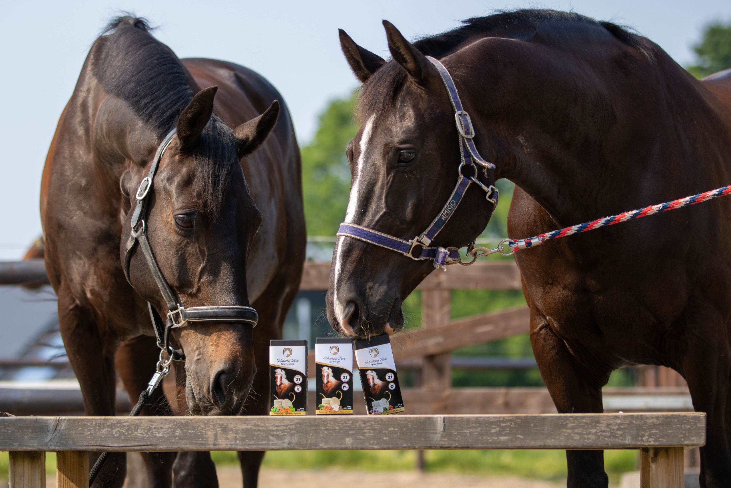 Excellent Horse Healthy Box Spijsvertering - Afbeelding 3