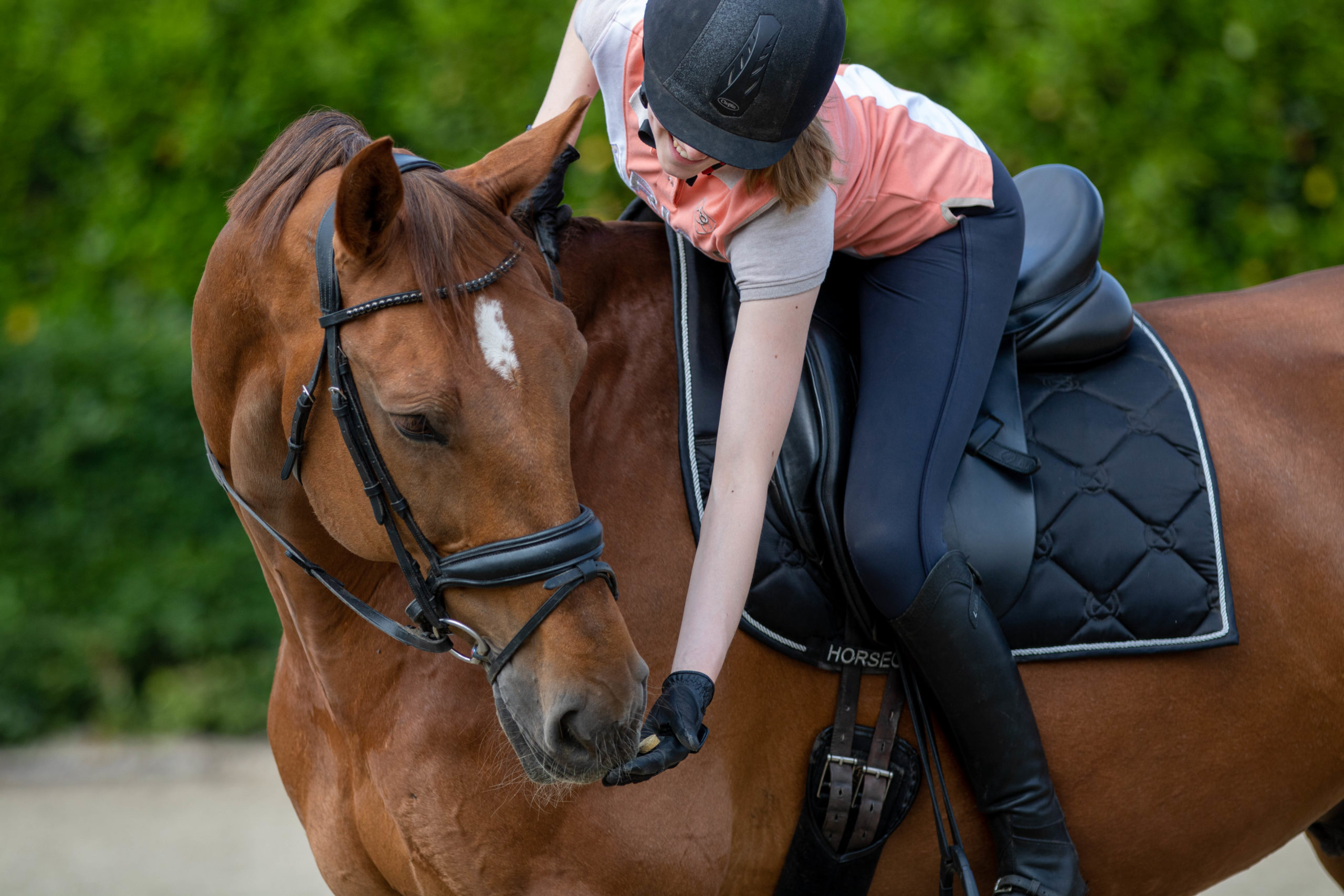 Excellent Horse Healthy Box Spijsvertering - Afbeelding 6