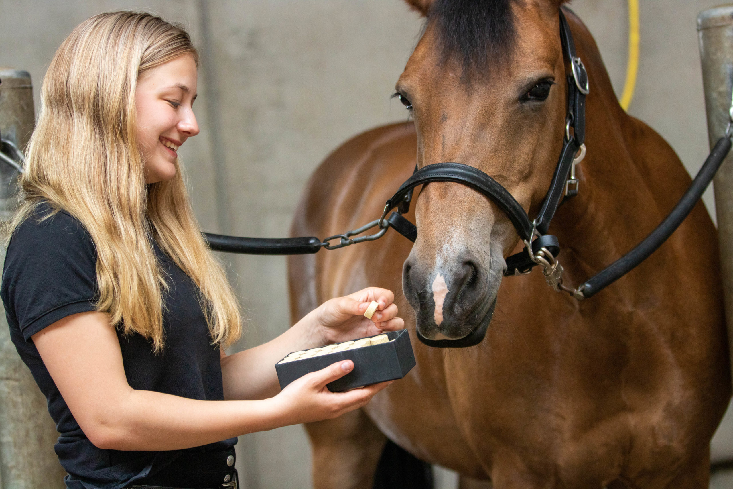 Excellent Horse Healthy Box Weerstand - Afbeelding 5